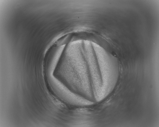 X0000066950244200604142056