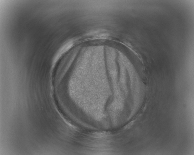 X0000066950245200604142056