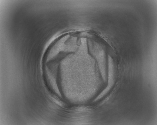 X0000066950246200604142056