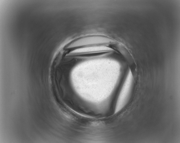 X0000066950248200604142057