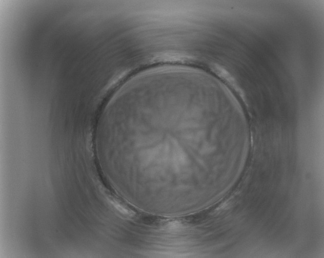 X0000066950249200604142057