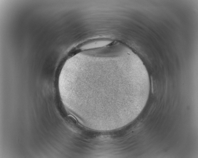 X0000066950252200604142057