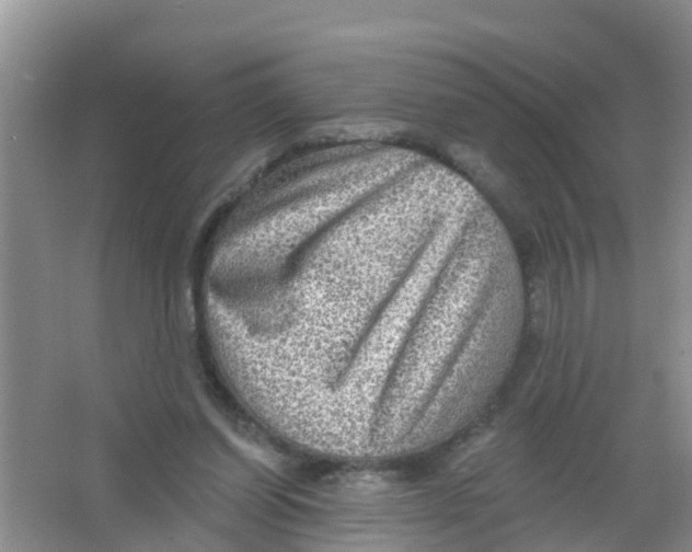 X0000066950254200604142057