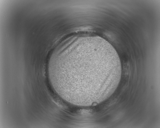 X0000066950255200604142057