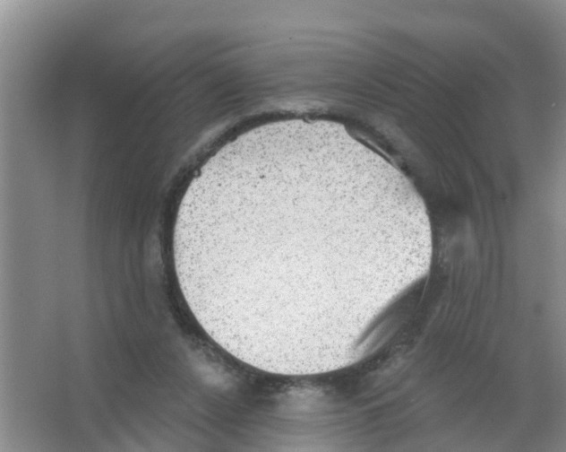 X0000066950256200604142057