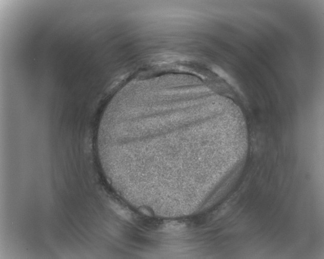 X0000066950257200604142057