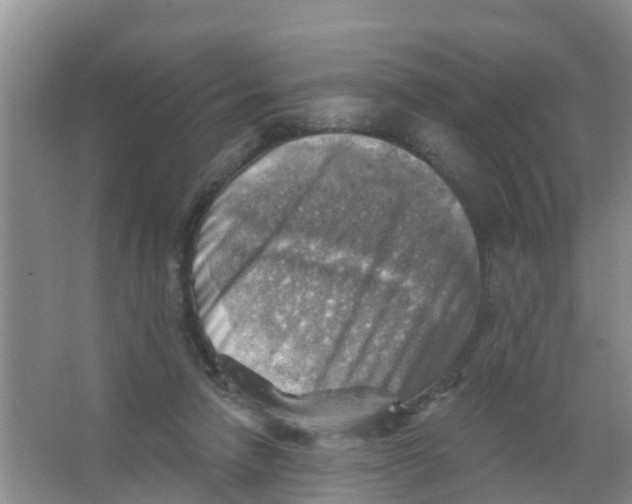 X0000066950258200604142057