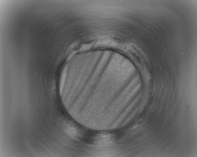 X0000066950260200604142057