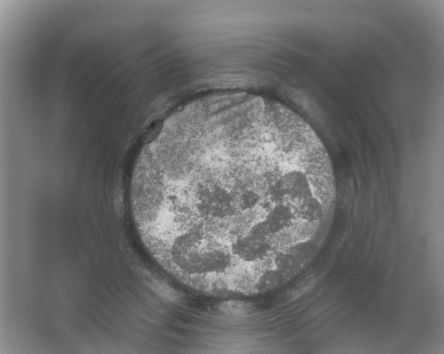 X0000066950261200604142057