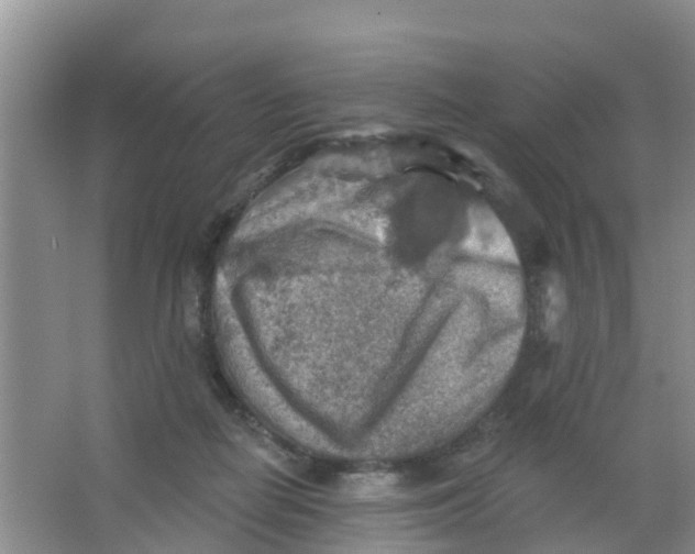 X0000066950266200604142057