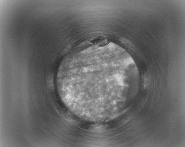 X0000066950267200604142057