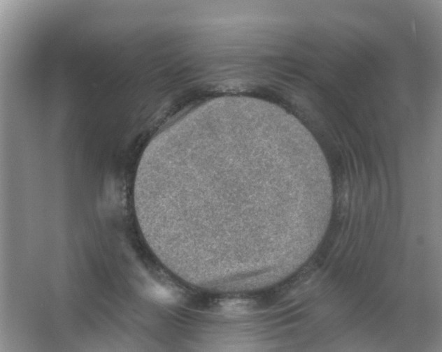 X0000066950268200604142057