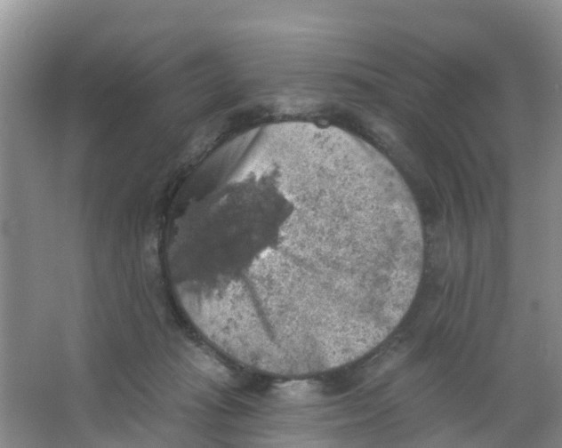 X0000066950269200604142057