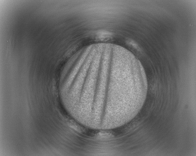 X0000066950270200604142057