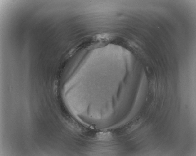 X0000066950271200604142057