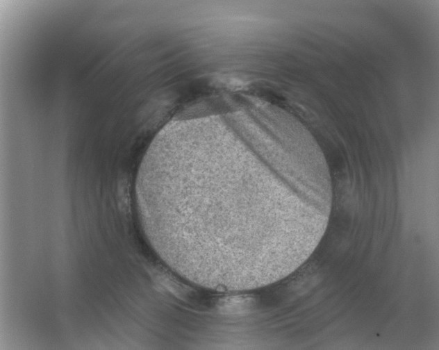 X0000066950274200604142057