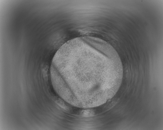 X0000066950275200604142057