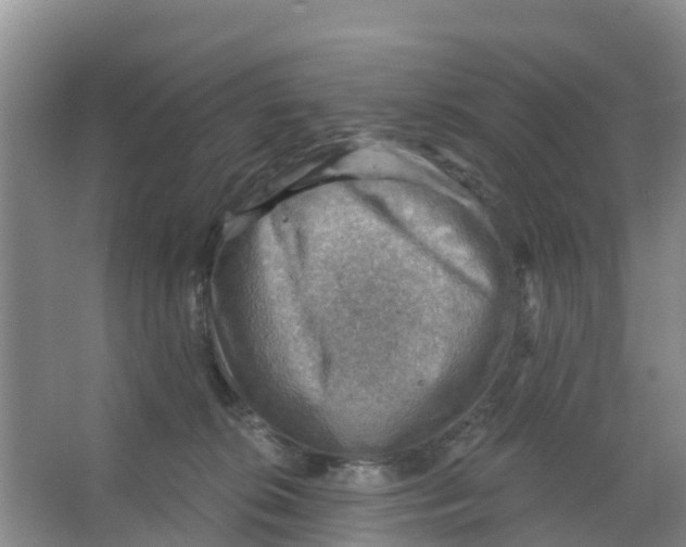 X0000066950276200604142057