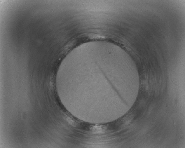 X0000066950277200604142057