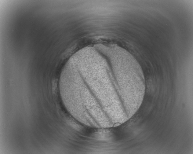 X0000066950278200604142057