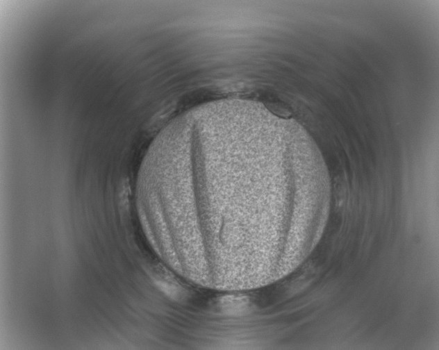 X0000066950279200604142057