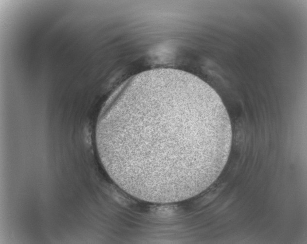 X0000066950282200604142057