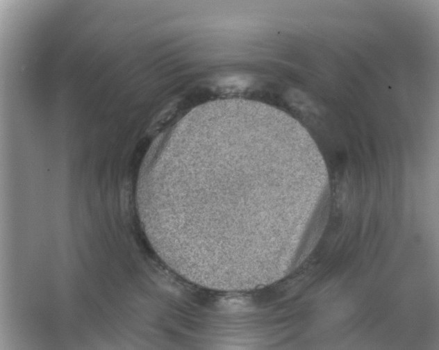 X0000066950283200604142057