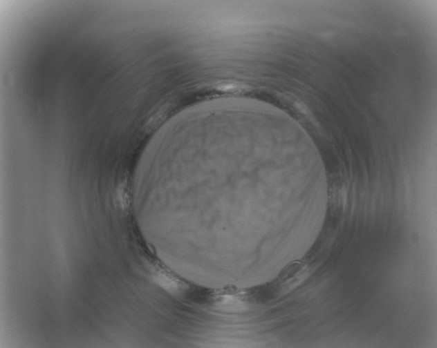 X0000066950285200604142057