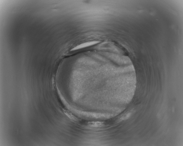 X0000066950288200604142057