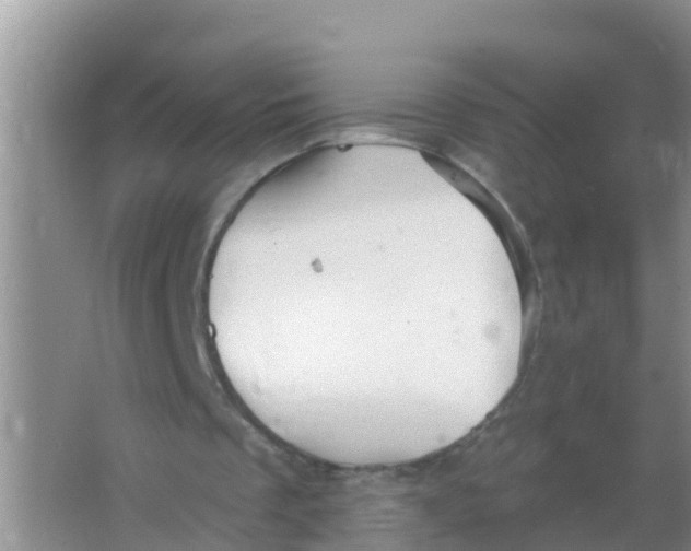 X0000066950289200604142056