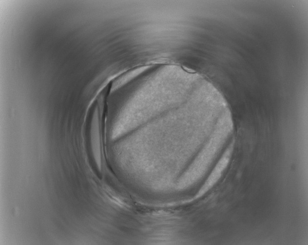 X0000066950290200604142056