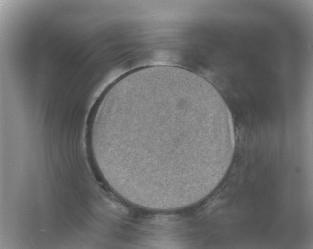 X0000066950292200604142056