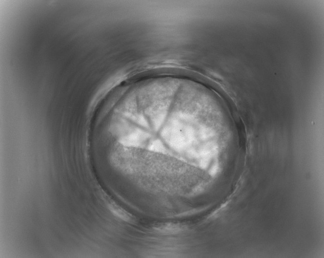 X0000066950293200604142056