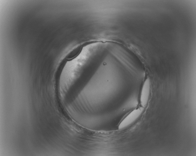 X0000066950295200604142056