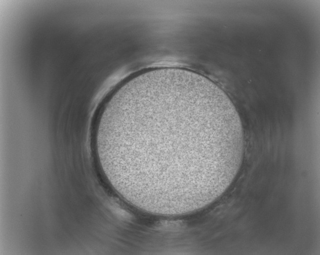 X0000066950296200604142056