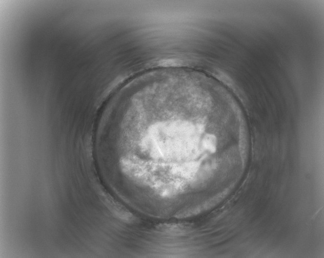 X0000066950297200604142056