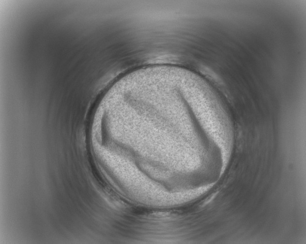 X0000066950298200604142056