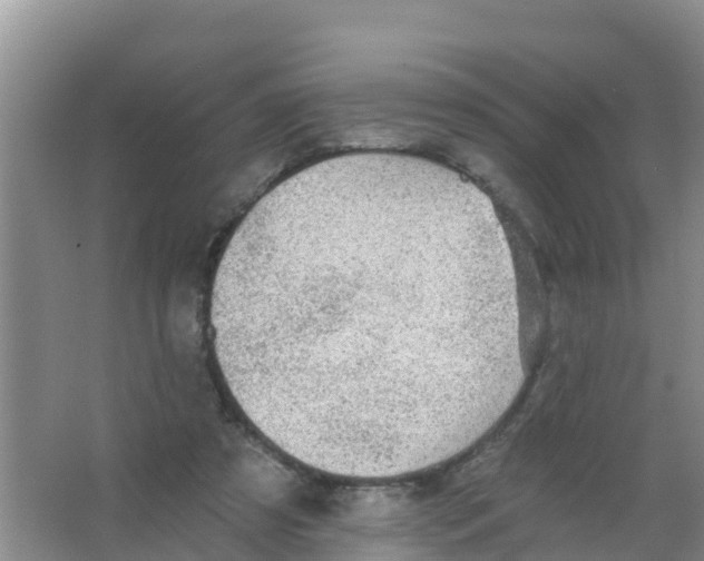 X0000066950305200604142056