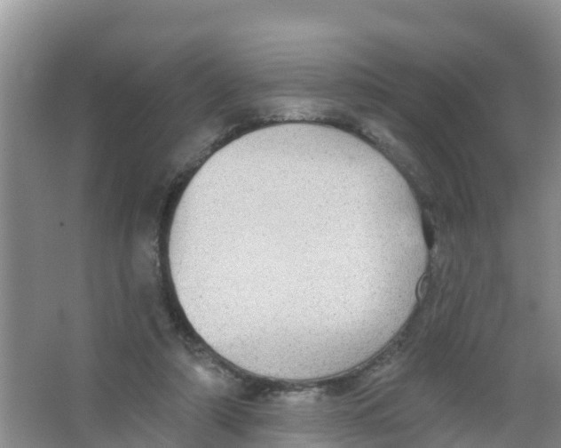 X0000066950306200604142056