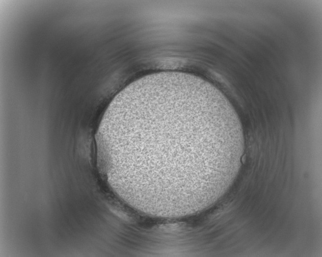 X0000066950307200604142056