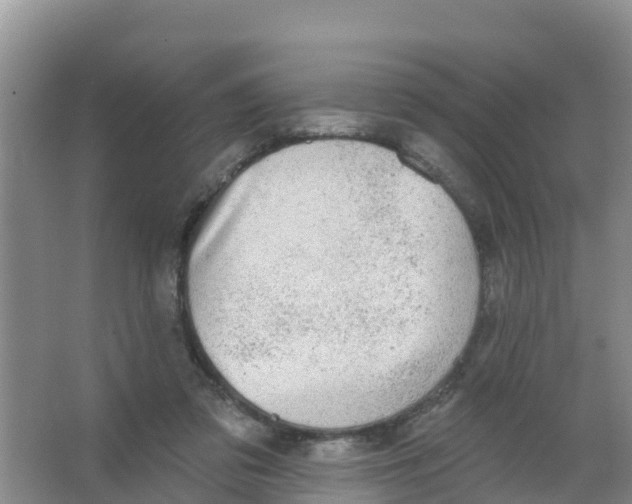 X0000066950309200604142056