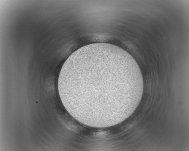 X0000066950312200604142056