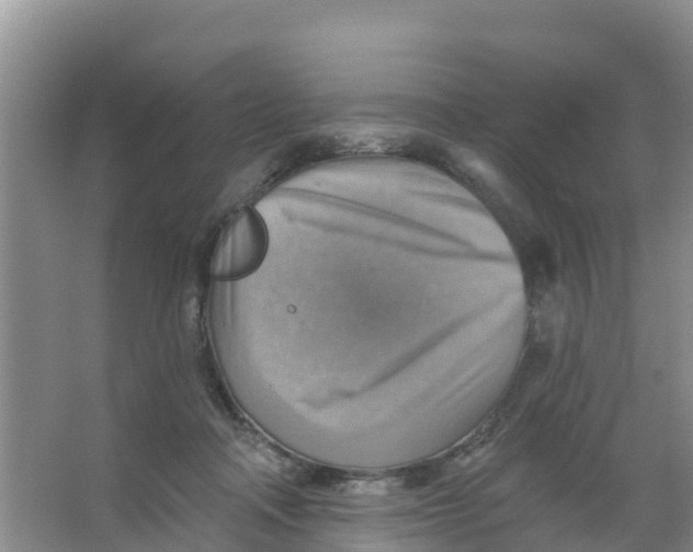 X0000066950314200604142056