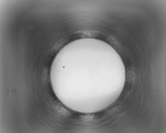 X0000066950318200604142056