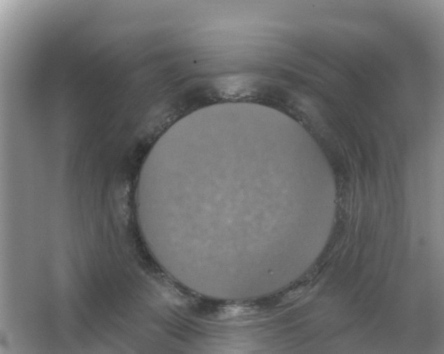 X0000066950319200604142056