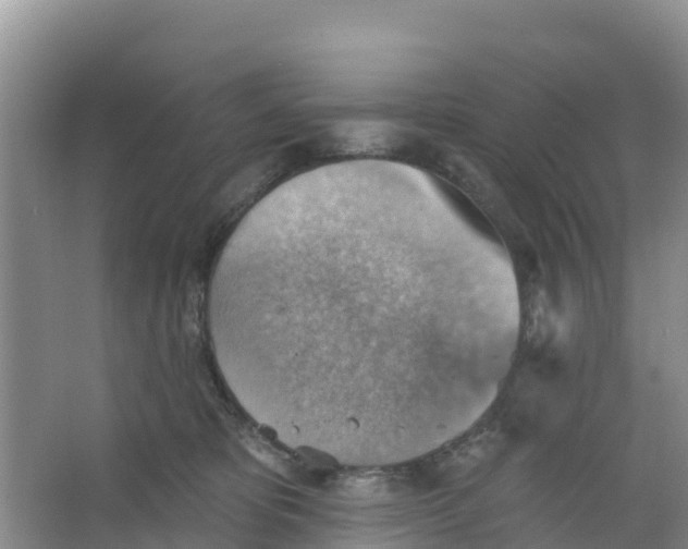 X0000066950325200604142056