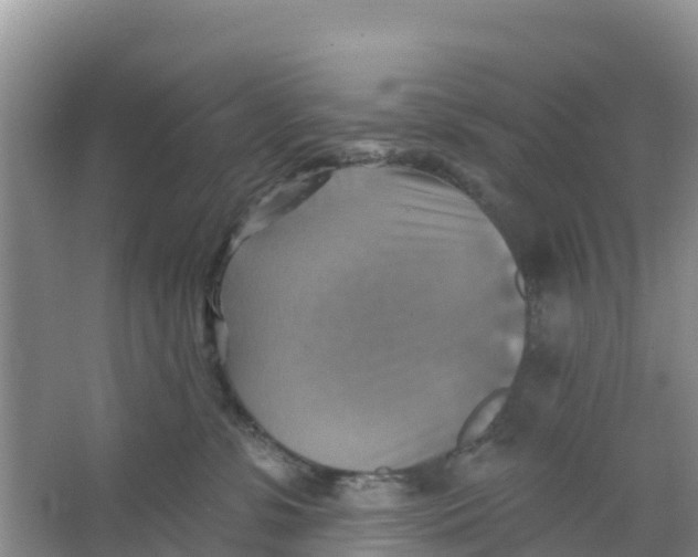 X0000066950331200604142056