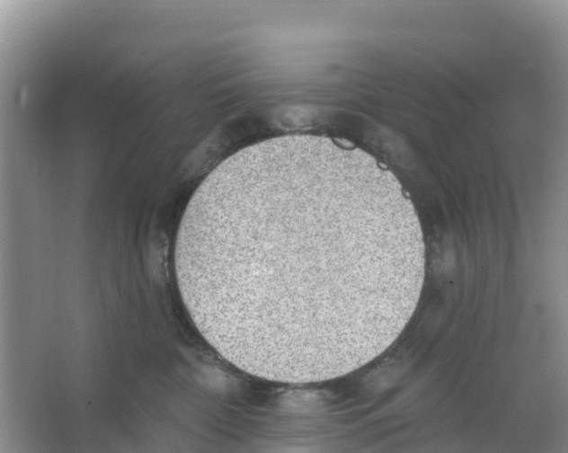 X0000066950332200604142056