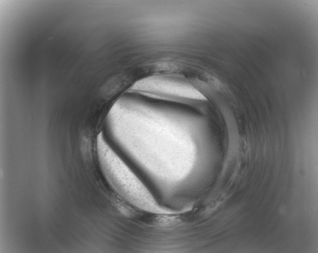 X0000066950333200604142056