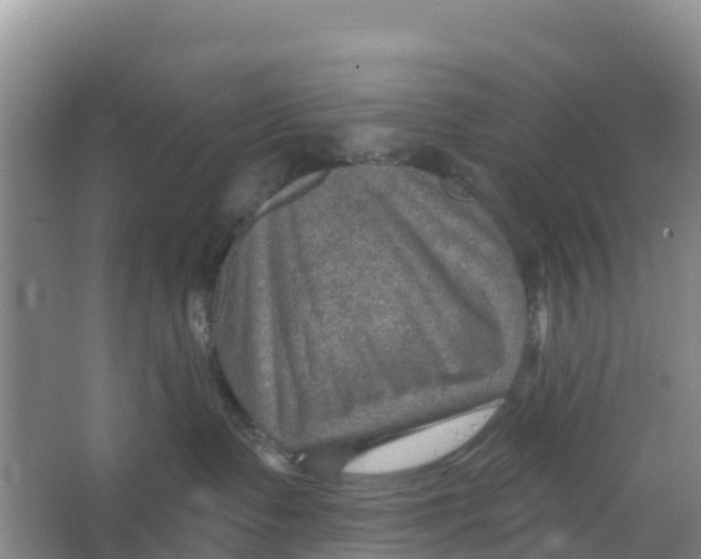 X0000066950335200604142056